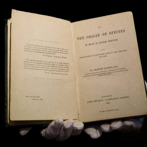 Gloved hands hold an open book titled "The Origin of Species by Means of Natural Selection" by Charles Darwin, a seminal work exploring the origin of life, published in London by John Murray, 1859.