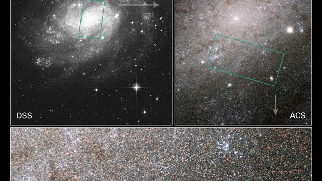Composite image of spiral galaxy NGC 300. Left: wide view with area highlighted. Right: close-up of highlighted area. Bottom: magnified star field view. NASA and the Hubble Heritage Team.