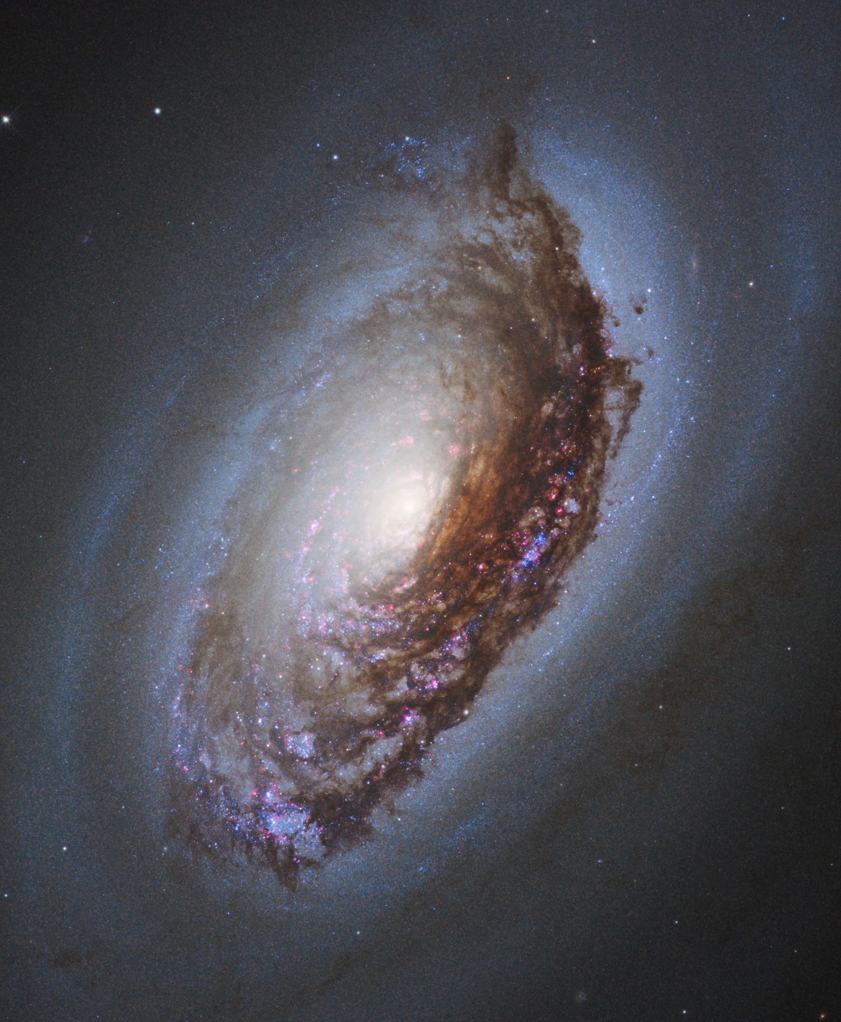 The spiral galaxy, an edge-tipped marvel, boasts a bright central core surrounded by swirling dust lanes and luminous stars, all set against a dark space background.