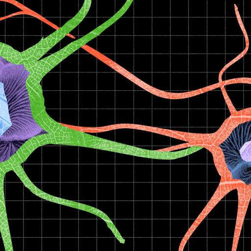 Illustration of two connected neurons with green and orange bodies, featuring detailed blue nuclei, against a black grid background.