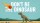 A dinosaur stands in a field as a flaming asteroid falls from the sky; bold text reads "DON'T BE THE DINOSAUR.