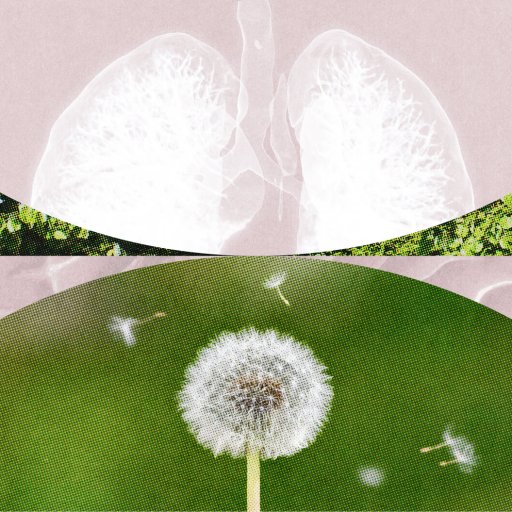 A stylized collage featuring an X-ray of human lungs above and a dandelion dispersing seeds below, set against green and beige backgrounds, evokes the easy, slack flow of breath and gentle change.