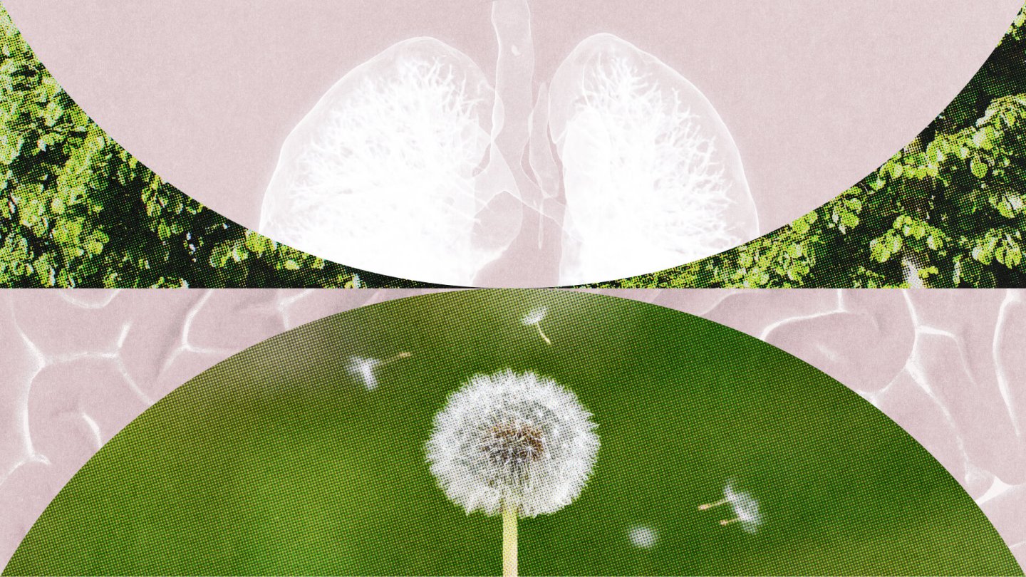A stylized collage featuring an X-ray of human lungs above and a dandelion dispersing seeds below, set against green and beige backgrounds, evokes the easy, slack flow of breath and gentle change.