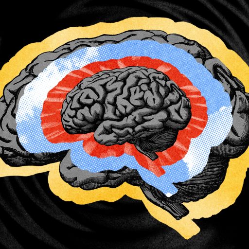 Illustration of a brain with highlighted internal sections in red and blue, set against a black swirling background, evoking the philosophy of hallucinations.