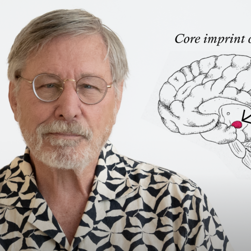 An older man with glasses stands next to a diagram of a brain highlighting the “core imprint of trauma” with a red dot and an arrow.