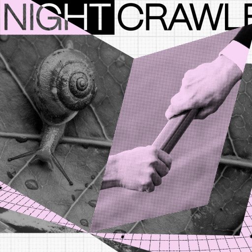 Collage featuring a snail, two hands gripping a baton symbolizing succession, and a boat, overlaid on a pink and black grid pattern with the text "THE NIGHTCRAWLER" at the top.