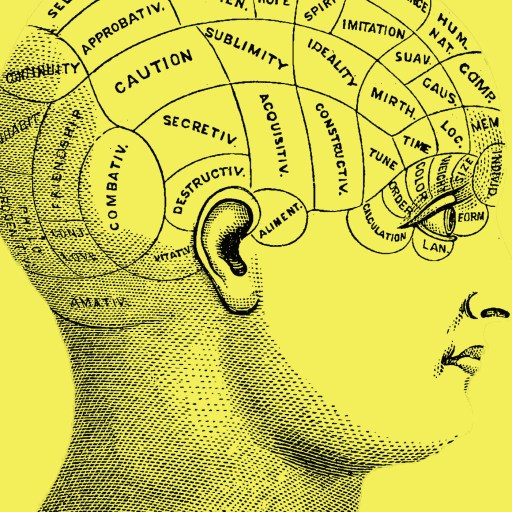 Vintage illustration of a human head in profile with labeled sections of the brain, representing different personality traits and mental faculties.