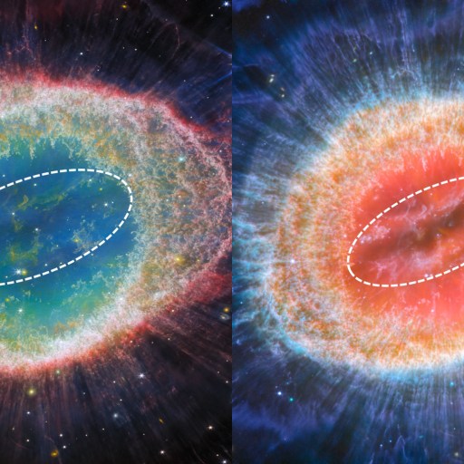 Side-by-side images of the Ring Nebula show its structure in different colors, each with a white dotted oval highlighting the central region.