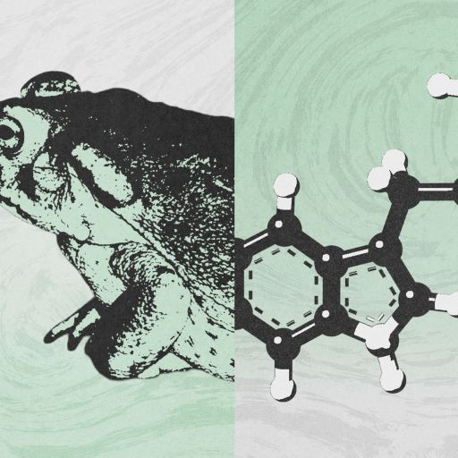 A split image showing the left half of a frog and the right half of a chemical structure on a green and white textured background.