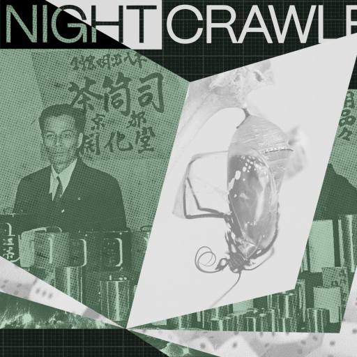 Collage with a man in a suit, stacked mugs, an upside-down creature, dice, and the text "THE NIGHTCRAWLER" at the top on a dark grid background—hinting at the power of intuition amid surreal imagery.