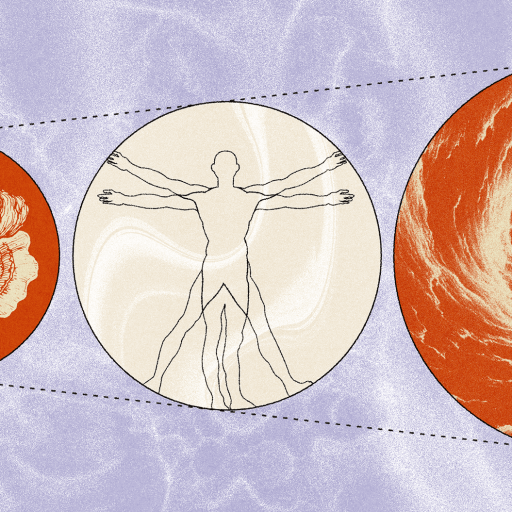 Three circles show, from left to right, an oyster shell, a Vitruvian-style human figure, and a swirling spiral, linked together on a textured lavender background.