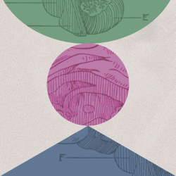 How to Outsmart Your Biases