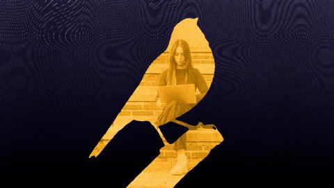 A yellow bird silhouette reveals a woman sitting on steps using her laptop, symbolizing the watchful presence of AI canaries, set against a dark, patterned background.