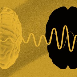 The Art and Science of Relating