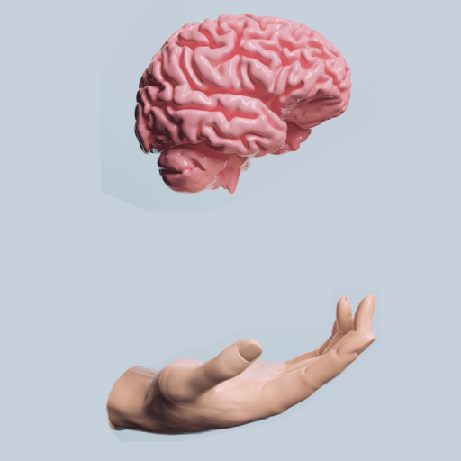 A human hand is positioned palm up below a floating anatomical model of a human brain against a plain light blue background.