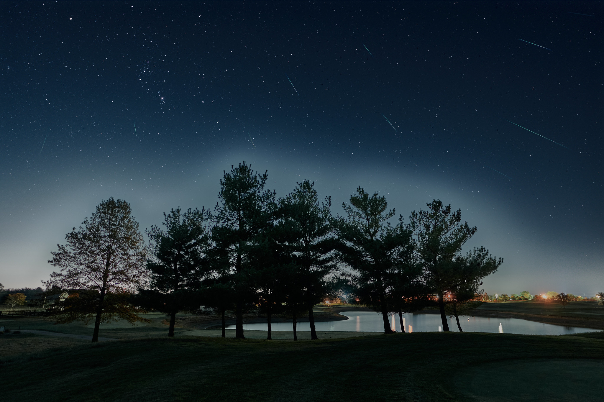 Trees silhouetted against a night sky with visible stars and shooting stars streaking by, near a calm lake with distant lights on the horizon—perhaps even a glimpse of Halley's Comet.